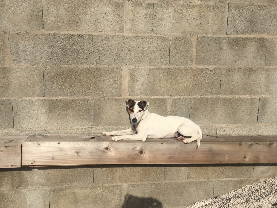 mai 2018