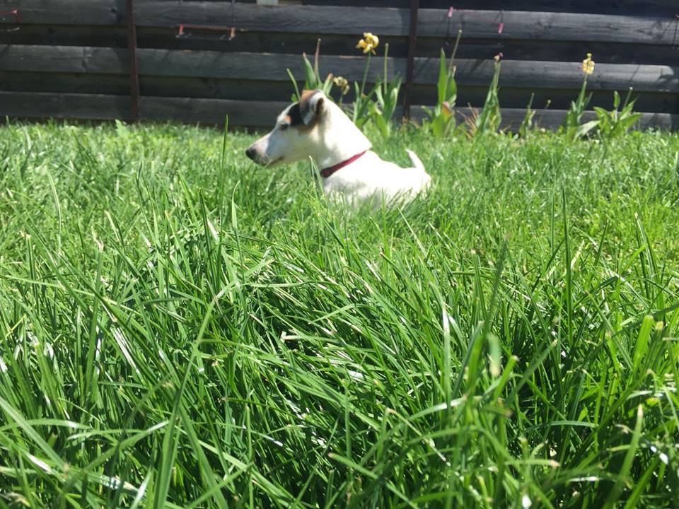 mai 2018
