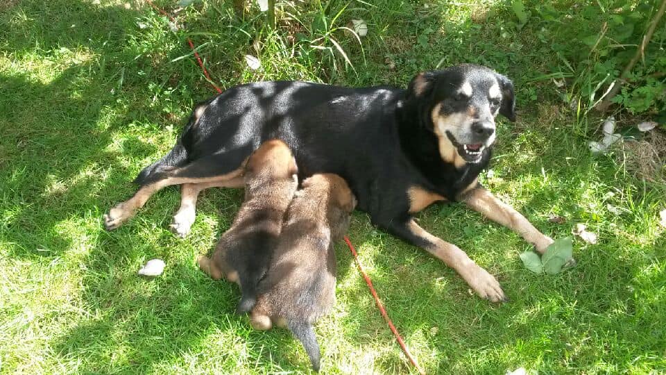 8 juin avec Dixya et Pixelle