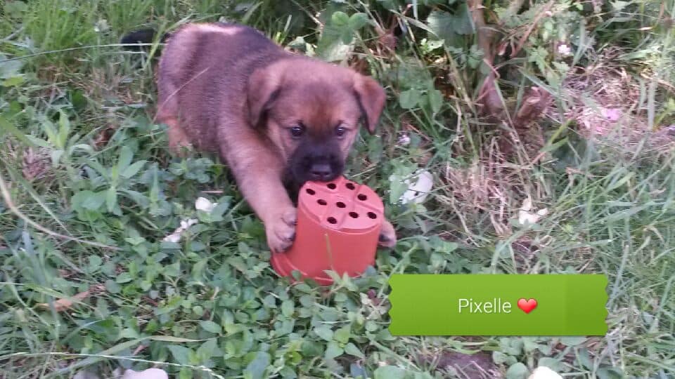 Juin 2019