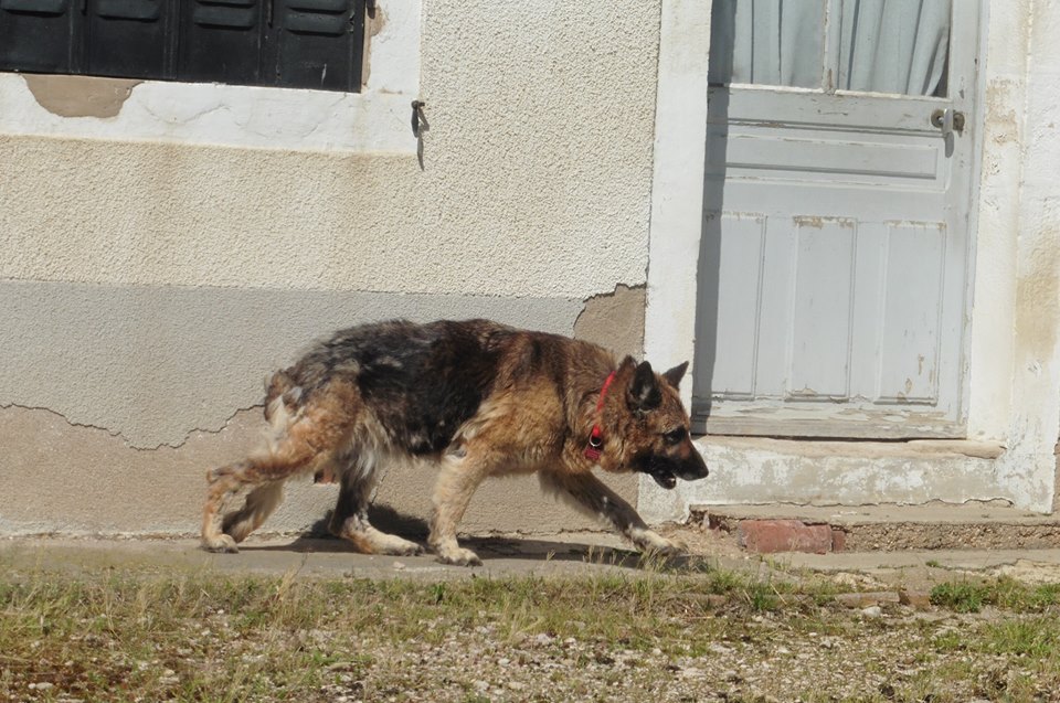 21 Avril 2015