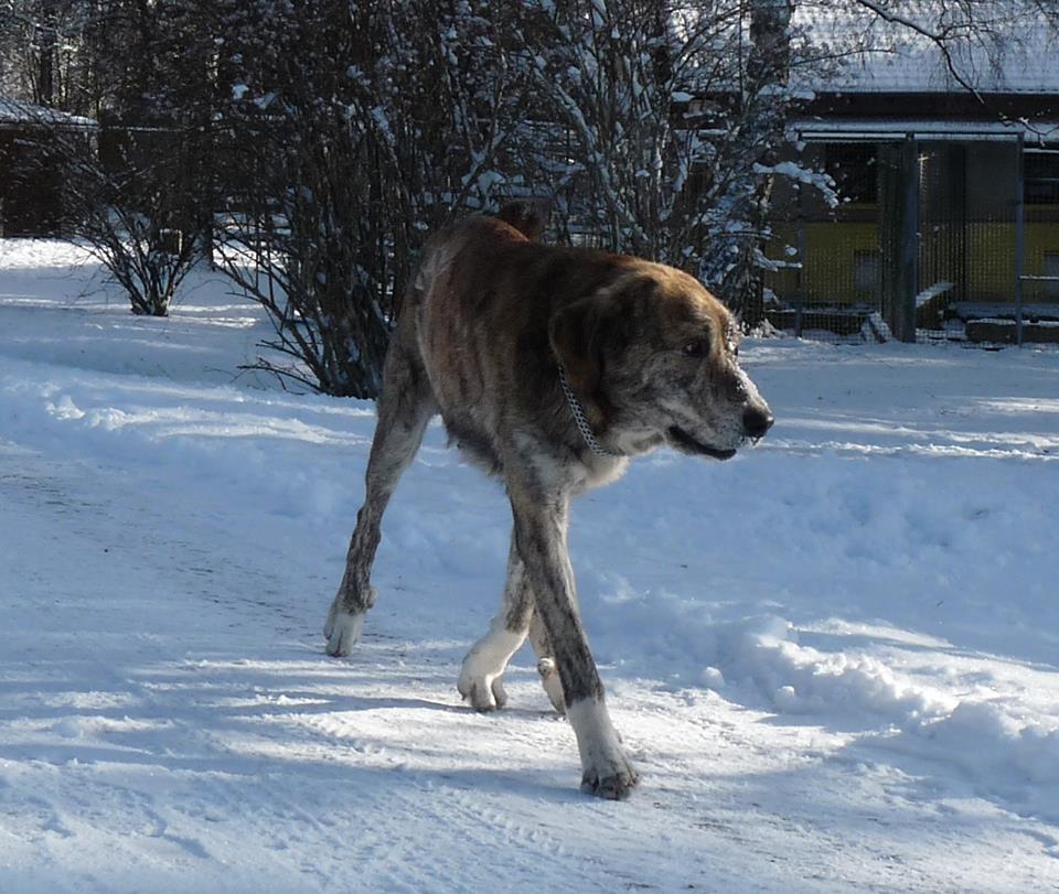 Décembre 2014