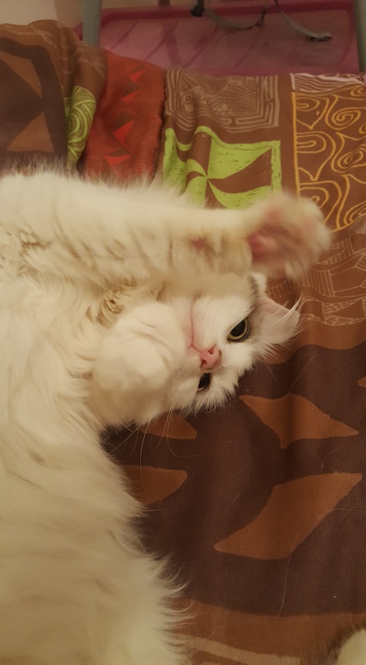 avril 2018