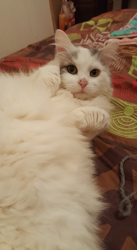 avril 2018