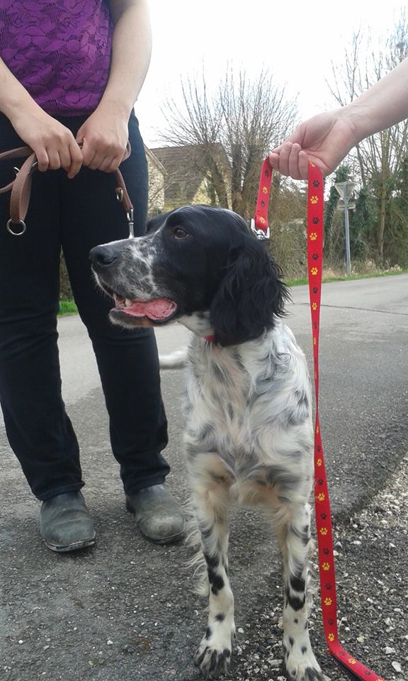 Bella 30 Mars 2016