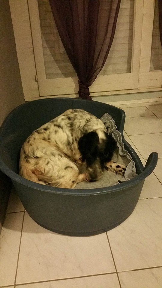 Bella 30 Mars 2016