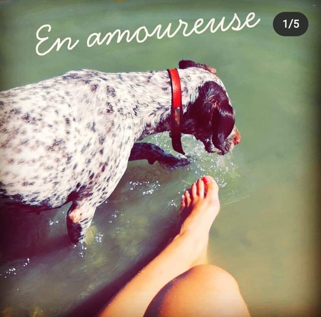 DOUCE 2018 (2)