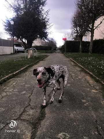 DOUCE 2019 (13)