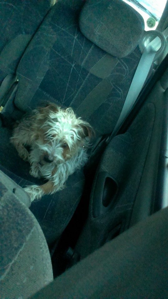 03 Mars 2015 - En voiture pour connaitre sa future famille