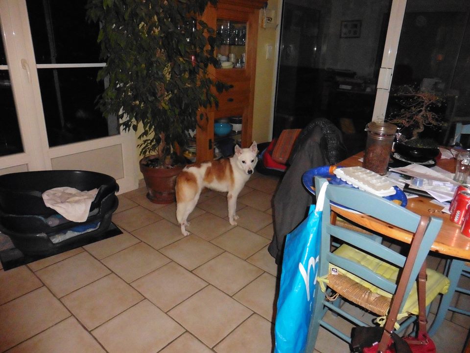 18 Janvier 2015 