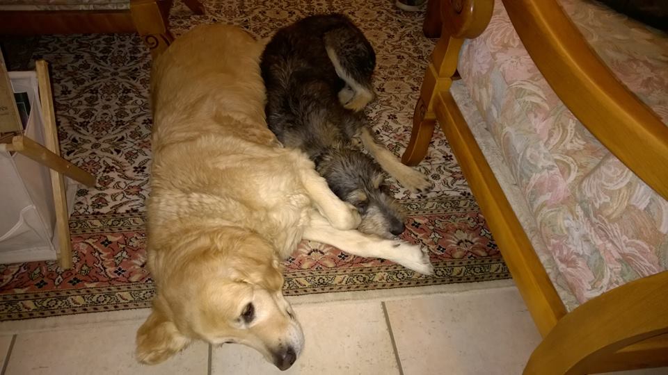 Décembre 2014