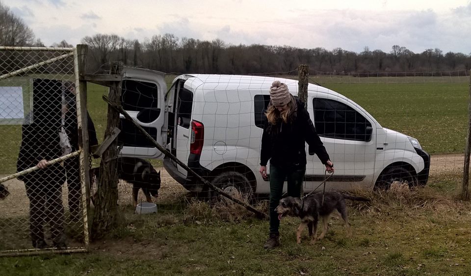 Février 2015