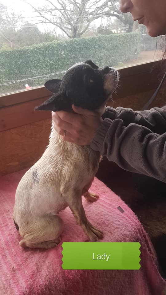 LADY  09 JAN 2020 