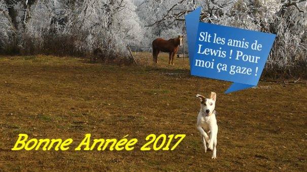 Litchi Janvier 2017 - Adoptée