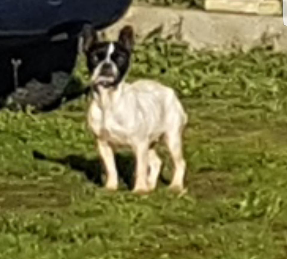 NONA 05 JAN 2020