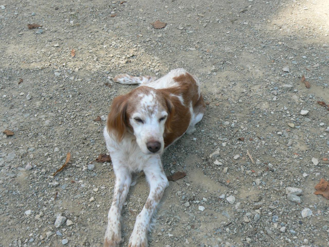2011