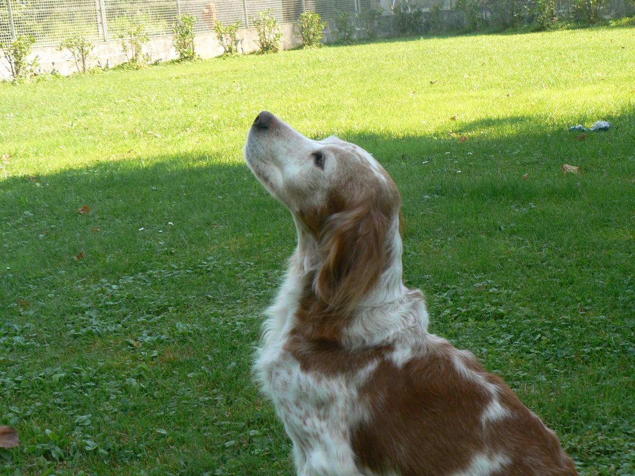 2011