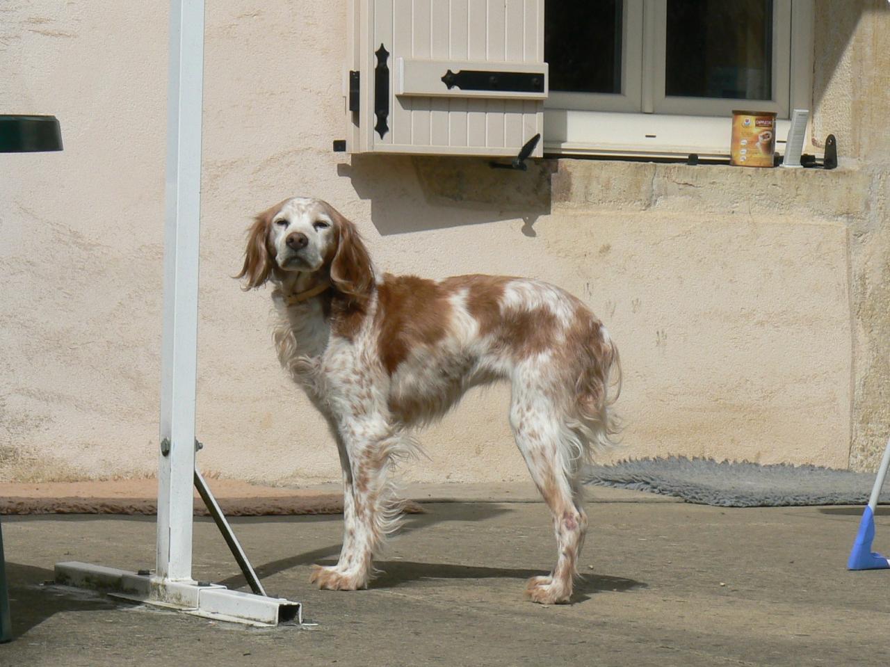Avril 2013