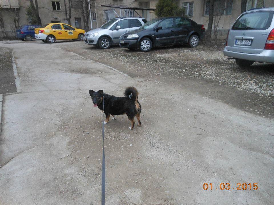 02 Mars 2015