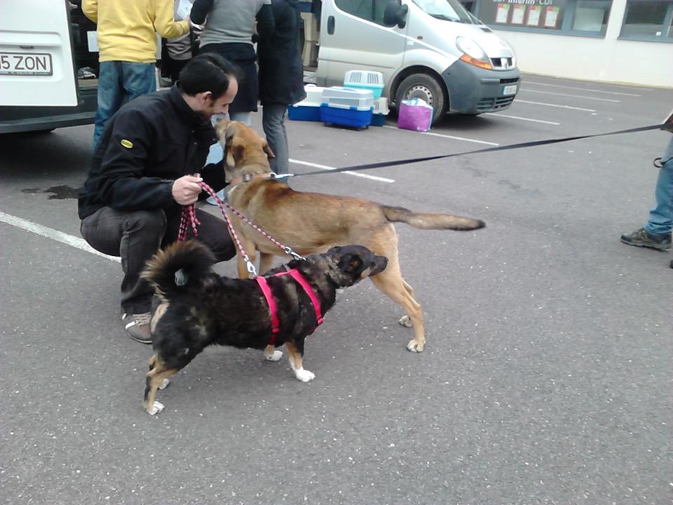 11 Avril 2015 