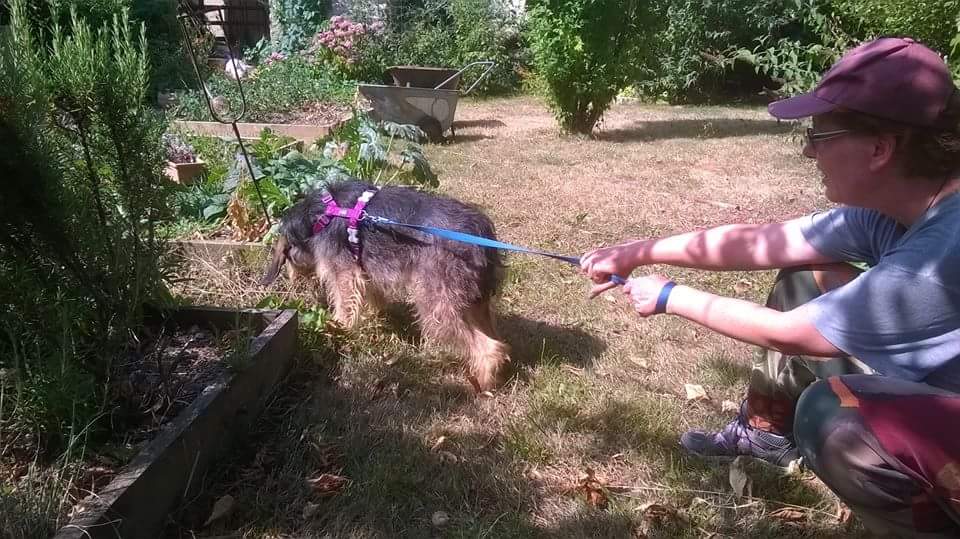 Juillet 2015