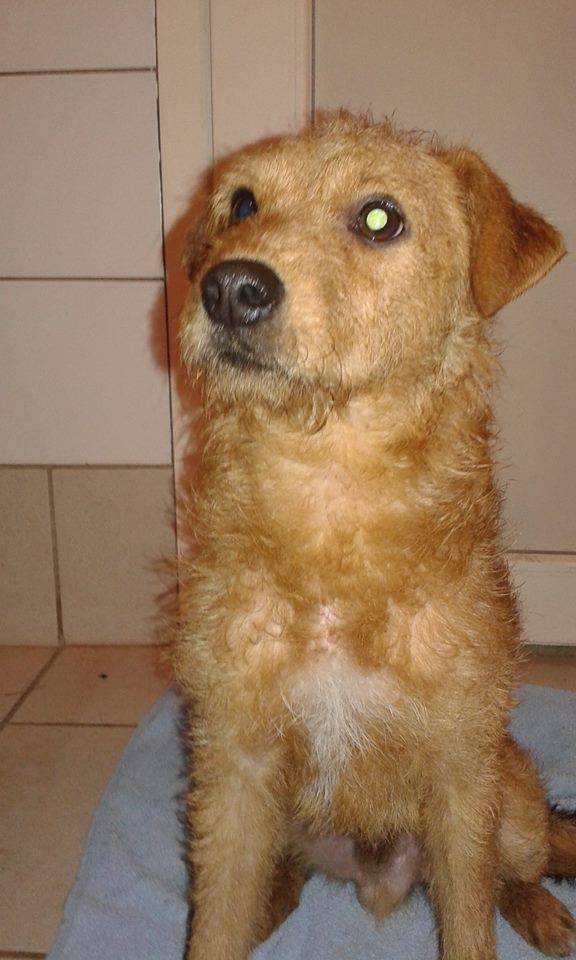 Tilou Décembre 2015