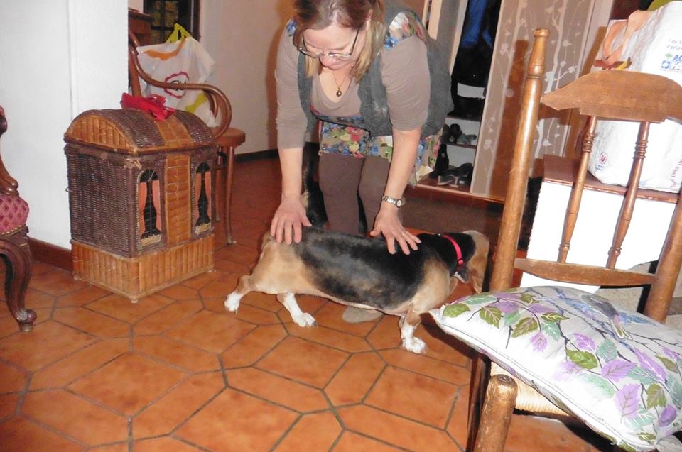 28 Février 2015