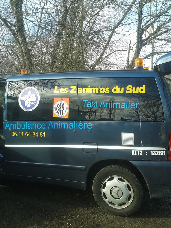 17 Janvier 2015 - Sur le départ de Tarbes 