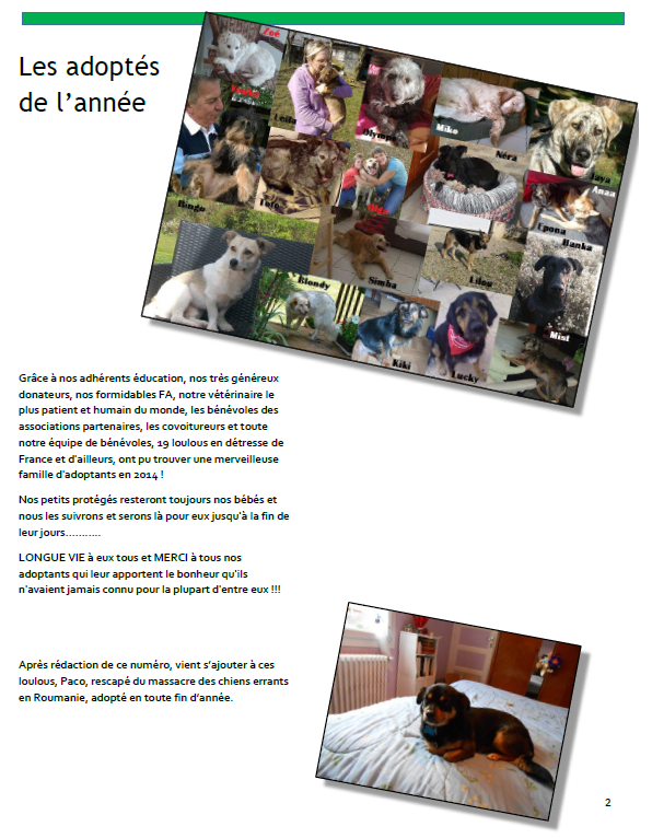 Bulletin 2