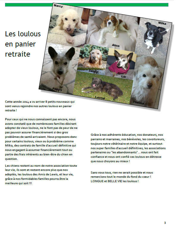 Bulletin 3