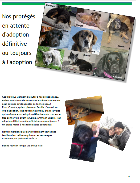 Bulletin 4