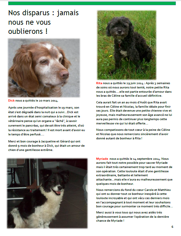 Bulletin 6