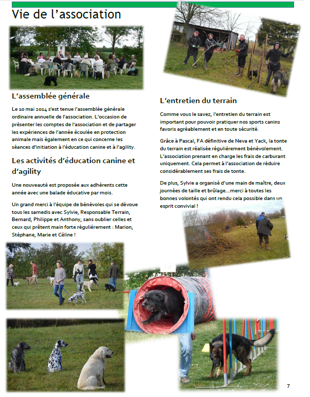 Bulletin 7